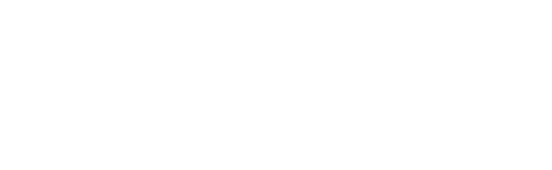 Pucón Emprende