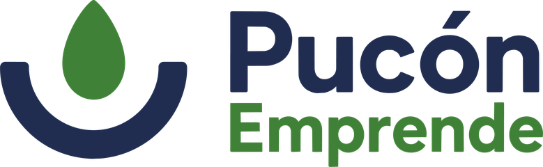 Pucón Emprende